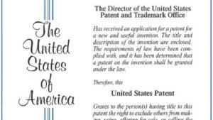 Coaxial Tissue Block Puncher set Patent